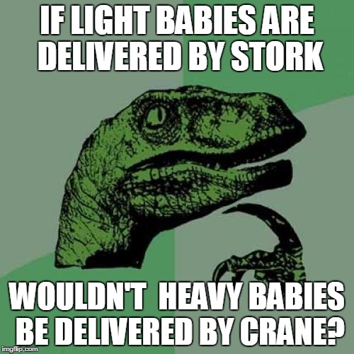 Philosoraptor | IF LIGHT BABIES ARE DELIVERED BY STORK; WOULDN'T  HEAVY BABIES BE DELIVERED BY CRANE? | image tagged in memes,philosoraptor | made w/ Imgflip meme maker