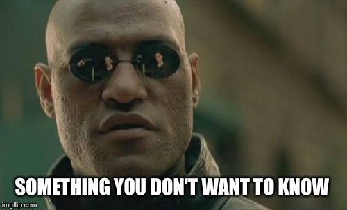 Matrix Morpheus Meme | SOMETHING YOU DON'T WANT TO KNOW | image tagged in memes,matrix morpheus | made w/ Imgflip meme maker