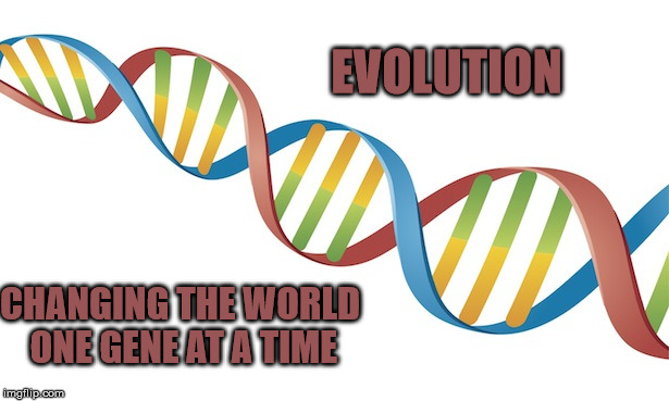 DNA Strand | EVOLUTION; CHANGING THE WORLD ONE GENE AT A TIME | image tagged in dna strand | made w/ Imgflip meme maker