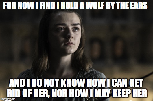 A girl is Arya Stark | FOR NOW I FIND I HOLD A WOLF BY THE EARS; AND I DO NOT KNOW HOW I CAN GET RID OF HER, NOR HOW I MAY KEEP HER | image tagged in a girl is arya stark | made w/ Imgflip meme maker