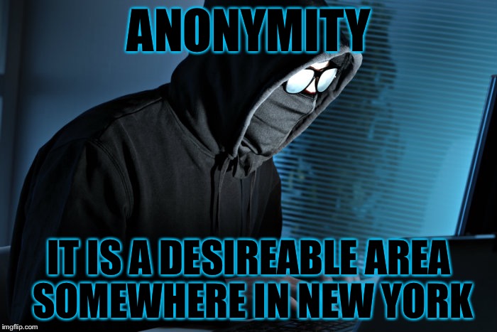 ANONYMITY IT IS A DESIREABLE AREA SOMEWHERE IN NEW YORK | made w/ Imgflip meme maker