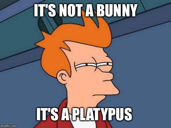 Futurama Fry Meme | IT'S NOT A BUNNY IT'S A PLATYPUS | image tagged in memes,futurama fry | made w/ Imgflip meme maker