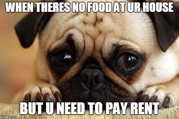 Sad Puppy | WHEN THERES NO FOOD AT UR HOUSE; BUT U NEED TO PAY RENT | image tagged in sad puppy | made w/ Imgflip meme maker