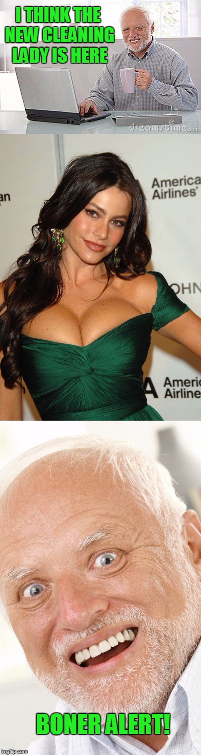 Cleavage week: Hide the boner Harold. | I THINK THE NEW CLEANING LADY IS HERE; BONER ALERT! | image tagged in cleavage week | made w/ Imgflip meme maker