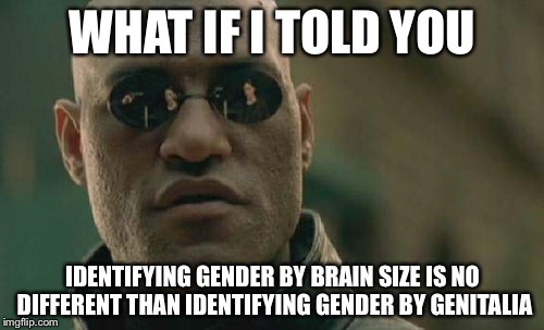 The things people say... | WHAT IF I TOLD YOU; IDENTIFYING GENDER BY BRAIN SIZE IS NO DIFFERENT THAN IDENTIFYING GENDER BY GENITALIA | image tagged in memes,matrix morpheus,transgender,brain | made w/ Imgflip meme maker