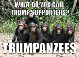 Trumpanzees | WHAT DO YOU CALL TRUMP SUPPORTERS? TRUMPANZEES | image tagged in dma | made w/ Imgflip meme maker