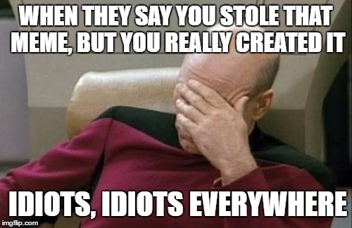 Captain Picard Facepalm Meme | WHEN THEY SAY YOU STOLE THAT MEME, BUT YOU REALLY CREATED IT; IDIOTS, IDIOTS EVERYWHERE | image tagged in memes,captain picard facepalm | made w/ Imgflip meme maker