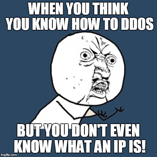 Y U No Meme | WHEN YOU THINK YOU KNOW HOW TO DDOS; BUT YOU DON'T EVEN KNOW WHAT AN IP IS! | image tagged in memes,y u no | made w/ Imgflip meme maker