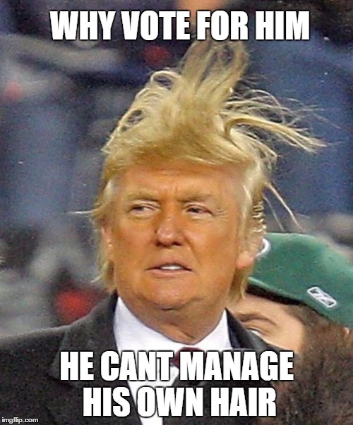Donald Trumph hair | WHY VOTE FOR HIM; HE CANT MANAGE HIS OWN HAIR | image tagged in donald trumph hair | made w/ Imgflip meme maker