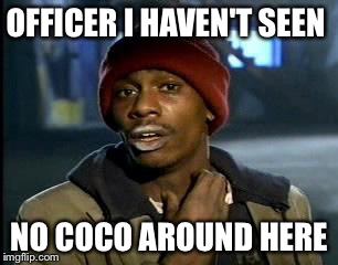 Y'all Got Any More Of That | OFFICER I HAVEN'T SEEN; NO COCO AROUND HERE | image tagged in memes,yall got any more of | made w/ Imgflip meme maker