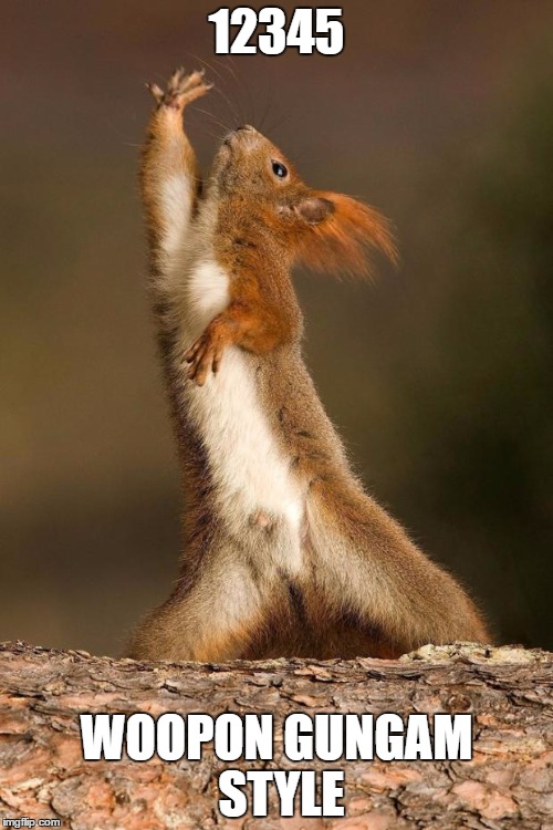 Dancing Squirrel | 12345; WOOPON GUNGAM STYLE | image tagged in dancing squirrel | made w/ Imgflip meme maker