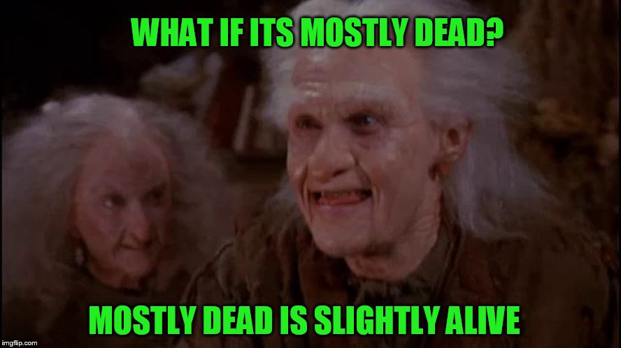 MOSTLY DEAD IS SLIGHTLY ALIVE WHAT IF ITS MOSTLY DEAD? | made w/ Imgflip meme maker