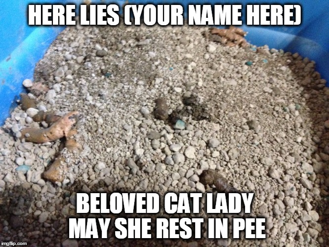 Cat Lady Grave | HERE LIES (YOUR NAME HERE); BELOVED CAT LADY MAY SHE REST IN PEE | image tagged in catlady,cats,poop | made w/ Imgflip meme maker