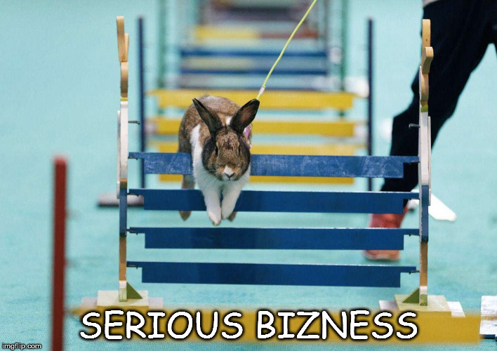 Jump | SERIOUS BIZNESS | image tagged in memes | made w/ Imgflip meme maker