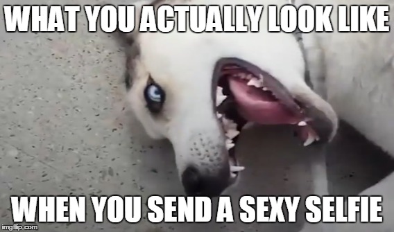 WHAT YOU ACTUALLY LOOK LIKE; WHEN YOU SEND A SEXY SELFIE | image tagged in selfies | made w/ Imgflip meme maker