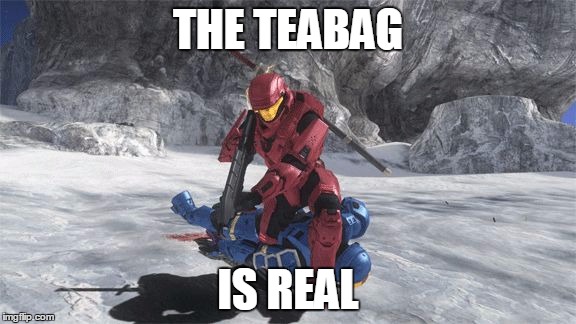 TEABAG! | THE TEABAG; IS REAL | image tagged in teabag | made w/ Imgflip meme maker