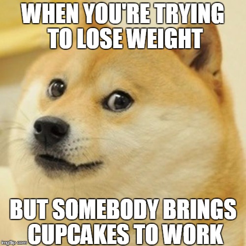 Doge Meme | WHEN YOU'RE TRYING TO LOSE WEIGHT; BUT SOMEBODY BRINGS CUPCAKES TO WORK | image tagged in dog,cupcakes,fat | made w/ Imgflip meme maker
