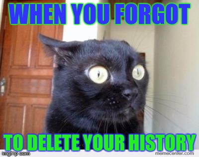 Scared Cat | WHEN YOU FORGOT; TO DELETE YOUR HISTORY | image tagged in scared cat | made w/ Imgflip meme maker