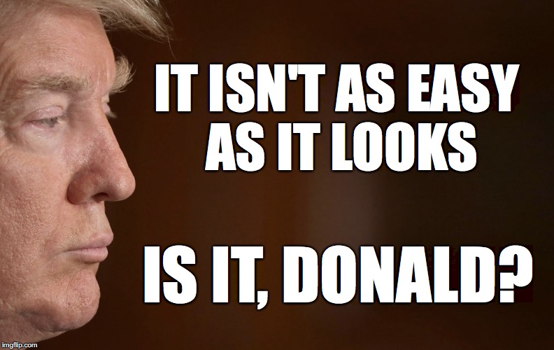 IT ISN'T AS EASY AS IT LOOKS; IS IT, DONALD? | image tagged in trump | made w/ Imgflip meme maker