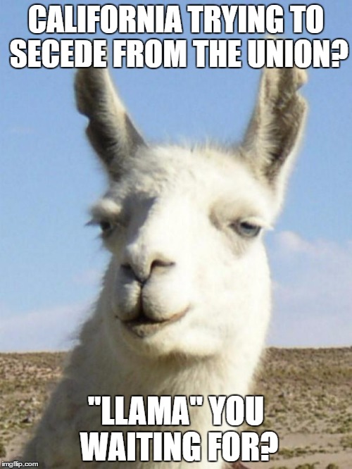llama | CALIFORNIA TRYING TO SECEDE FROM THE UNION? "LLAMA" YOU WAITING FOR? | image tagged in llama | made w/ Imgflip meme maker