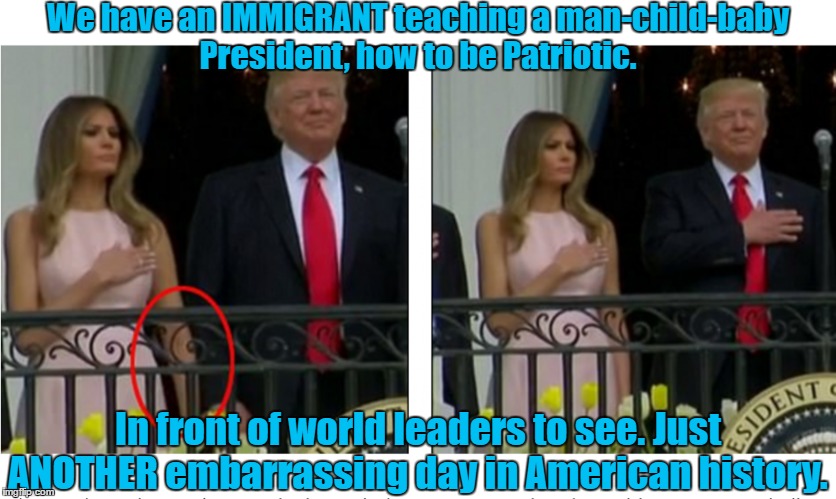 Trump Easter Immigrant Check on Patriotism  | We have an IMMIGRANT teaching a man-child-baby President, how to be Patriotic. In front of world leaders to see. Just ANOTHER embarrassing day in American history. | image tagged in donald trump,trump,easter,immigrants,illegal immigrant,foreigner | made w/ Imgflip meme maker