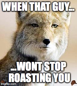 Memster | WHEN THAT GUY... ...WONT STOP ROASTING YOU | image tagged in funny memes | made w/ Imgflip meme maker