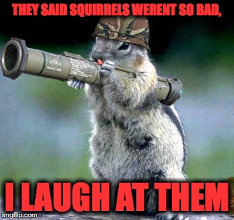 Bazooka Squirrel | THEY SAID SQUIRRELS WERENT SO BAD, I LAUGH AT THEM | image tagged in memes,bazooka squirrel | made w/ Imgflip meme maker