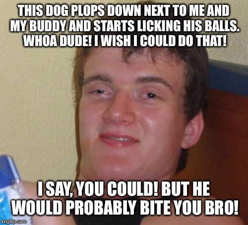 Be careful what you wish for | THIS DOG PLOPS DOWN NEXT TO ME AND MY BUDDY AND STARTS LICKING HIS BALLS. WHOA DUDE! I WISH I COULD DO THAT! I SAY, YOU COULD! BUT HE WOULD PROBABLY BITE YOU BRO! | image tagged in memes,10 guy,funny | made w/ Imgflip meme maker