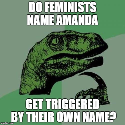 Philosoraptor | DO FEMINISTS NAME AMANDA; GET TRIGGERED BY THEIR OWN NAME? | image tagged in memes,philosoraptor | made w/ Imgflip meme maker