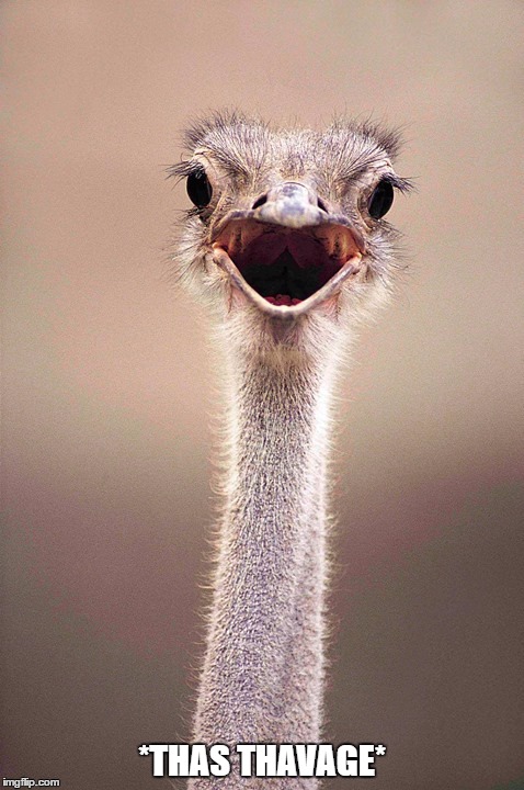 savage | *THAS THAVAGE* | image tagged in funny memes,funny animals,ostrich,funny | made w/ Imgflip meme maker