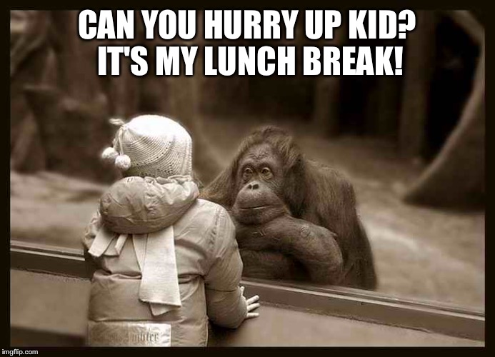 You looking at me? | CAN YOU HURRY UP KID? IT'S MY LUNCH BREAK! | image tagged in memes,monkey,funny | made w/ Imgflip meme maker