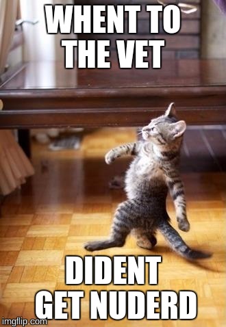 Cool Cat Stroll Meme | WHENT TO THE VET; DIDENT GET NUDERD | image tagged in memes,cool cat stroll | made w/ Imgflip meme maker