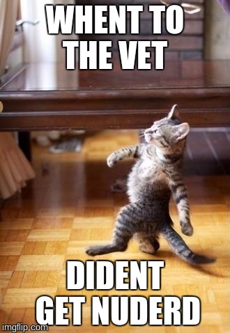 Cool Cat Stroll | WHENT TO THE VET; DIDENT GET NUDERD | image tagged in memes,cool cat stroll | made w/ Imgflip meme maker