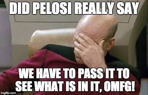 Captain Picard Facepalm Meme | DID PELOSI REALLY SAY; WE HAVE TO PASS IT TO SEE WHAT IS IN IT, OMFG! | image tagged in memes,captain picard facepalm | made w/ Imgflip meme maker