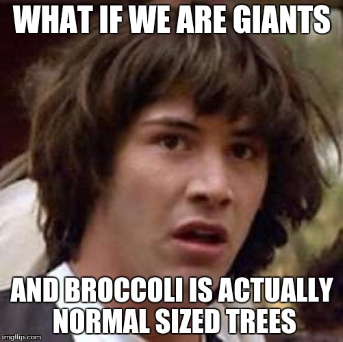 Conspiracy Keanu Meme | WHAT IF WE ARE GIANTS; AND BROCCOLI IS ACTUALLY NORMAL SIZED TREES | image tagged in memes,conspiracy keanu | made w/ Imgflip meme maker