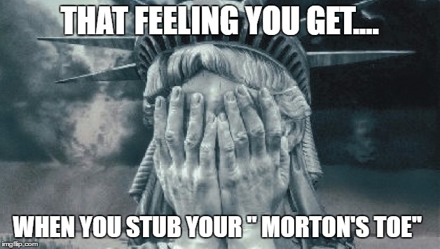 Statue of Liberty Crying | THAT FEELING YOU GET.... WHEN YOU STUB YOUR " MORTON'S TOE" | image tagged in statue of liberty crying | made w/ Imgflip meme maker
