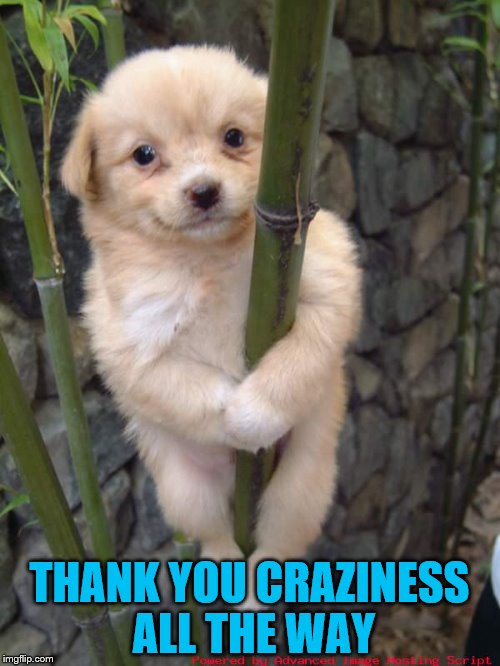 THANK YOU CRAZINESS ALL THE WAY | made w/ Imgflip meme maker