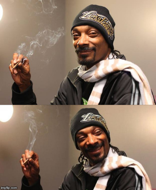 Snoop Dogg Zoeiro
 | image tagged in snoop dogg,snoop zoeiro | made w/ Imgflip meme maker