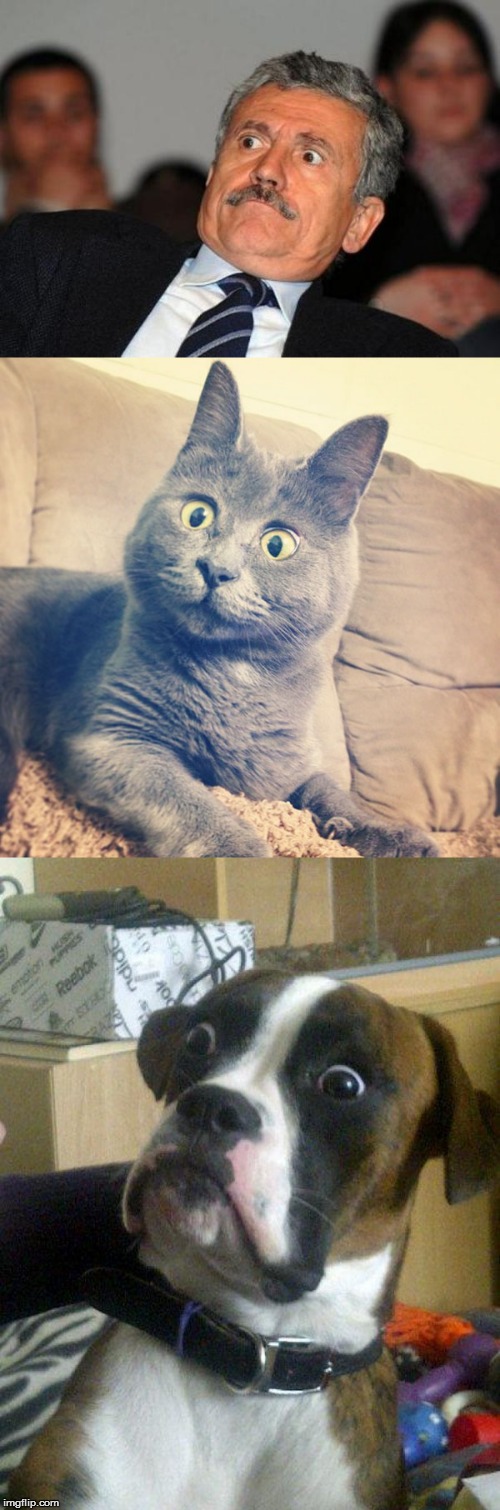 B | made w/ Imgflip meme maker