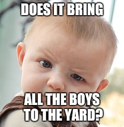 Skeptical Baby Meme | DOES IT BRING ALL THE BOYS TO THE YARD? | image tagged in memes,skeptical baby | made w/ Imgflip meme maker