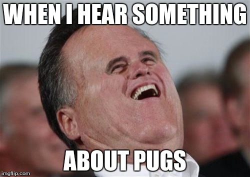 Small Face Romney Meme | WHEN I HEAR SOMETHING; ABOUT PUGS | image tagged in memes,small face romney | made w/ Imgflip meme maker