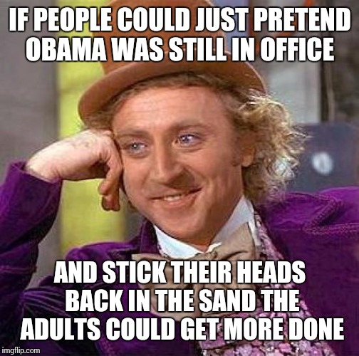 Creepy Condescending Wonka Meme | IF PEOPLE COULD JUST PRETEND OBAMA WAS STILL IN OFFICE AND STICK THEIR HEADS BACK IN THE SAND THE ADULTS COULD GET MORE DONE | image tagged in memes,creepy condescending wonka | made w/ Imgflip meme maker