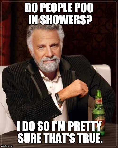 The Most Interesting Man In The World Meme | DO PEOPLE POO IN SHOWERS? I DO SO I'M PRETTY SURE THAT'S TRUE. | image tagged in memes,the most interesting man in the world | made w/ Imgflip meme maker
