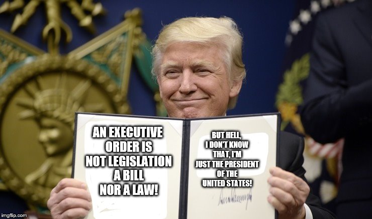 trump signs an executive order | BUT HELL, I DON'T KNOW THAT, I'M JUST THE PRESIDENT OF THE UNITED STATES! AN EXECUTIVE ORDER IS NOT LEGISLATION A BILL NOR A LAW! | image tagged in trump executive order,donald trump the clown,trump signing an executive order,law,bill,legislation | made w/ Imgflip meme maker