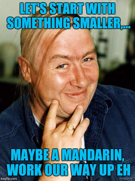 LET'S START WITH SOMETHING SMALLER,... MAYBE A MANDARIN, WORK OUR WAY UP EH | made w/ Imgflip meme maker