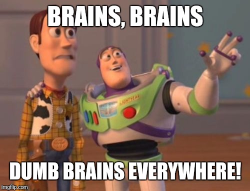 X, X Everywhere Meme | BRAINS, BRAINS DUMB BRAINS EVERYWHERE! | image tagged in memes,x x everywhere | made w/ Imgflip meme maker