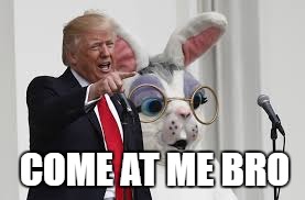 Trump Bunny | COME AT ME BRO | image tagged in trump,easter,easter bunny,come at bro | made w/ Imgflip meme maker