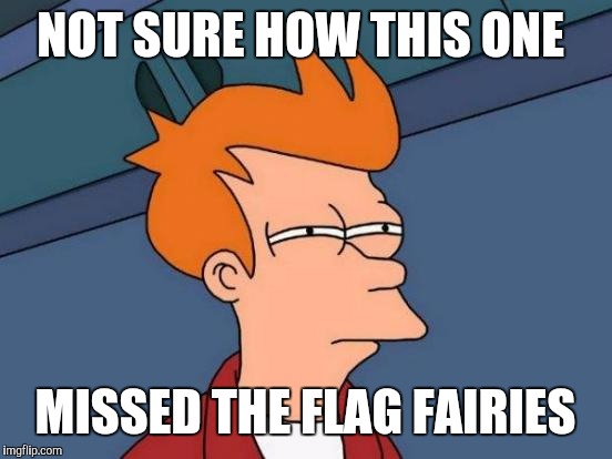 Futurama Fry Meme | NOT SURE HOW THIS ONE MISSED THE FLAG FAIRIES | image tagged in memes,futurama fry | made w/ Imgflip meme maker