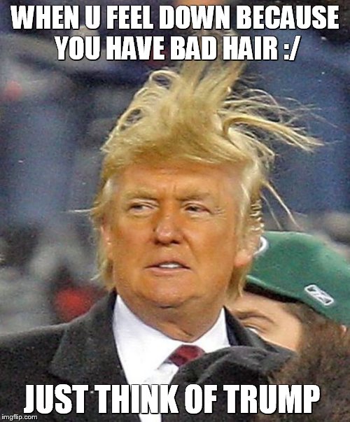 Trump | WHEN U FEEL DOWN BECAUSE YOU HAVE BAD HAIR :/; JUST THINK OF TRUMP | image tagged in meme | made w/ Imgflip meme maker