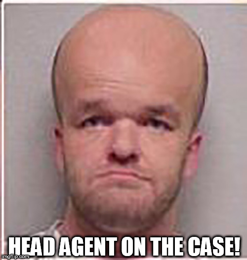 HEAD AGENT ON THE CASE! | made w/ Imgflip meme maker